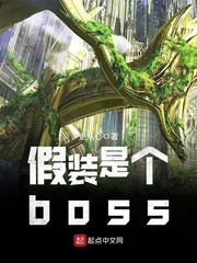 װǸboss½б,װǸbossȫĶ